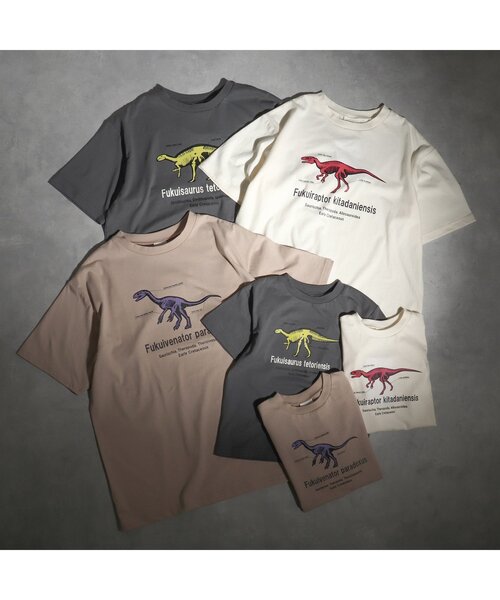 BREEZE（ブリーズ）の「福井県立恐竜博物館コラボ 恐竜フラッシュTシャツ(コドモ)（Tシャツ/カットソー・キッズ・ブラック/ベージュ/オフホワイト・90/100/110/120/130/140/150）」の6枚目の写真