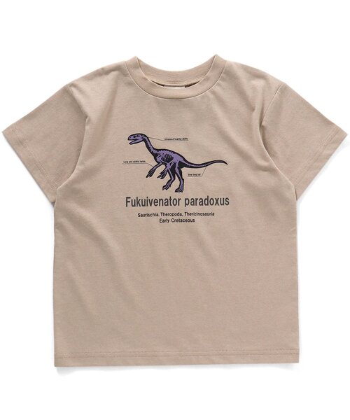 BREEZE（ブリーズ）の「福井県立恐竜博物館コラボ 恐竜フラッシュTシャツ(コドモ)（Tシャツ/カットソー・キッズ・ブラック/ベージュ/オフホワイト・90/100/110/120/130/140/150）」の8枚目の写真