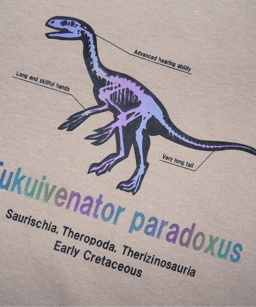 BREEZE（ブリーズ）の「福井県立恐竜博物館コラボ 恐竜フラッシュTシャツ(コドモ)（Tシャツ/カットソー・キッズ・ブラック/ベージュ/オフホワイト・90/100/110/120/130/140/150）」の9枚目の写真