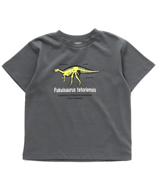BREEZE（ブリーズ）の「福井県立恐竜博物館コラボ 恐竜フラッシュTシャツ(コドモ)（Tシャツ/カットソー・キッズ・ブラック/ベージュ/オフホワイト・90/100/110/120/130/140/150）」の10枚目の写真