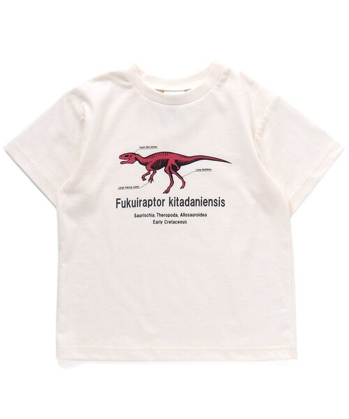 BREEZE（ブリーズ）の「福井県立恐竜博物館コラボ 恐竜フラッシュTシャツ(コドモ)（Tシャツ/カットソー・キッズ・ブラック/ベージュ/オフホワイト・90/100/110/120/130/140/150）」の11枚目の写真