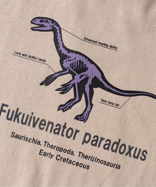 BREEZE（ブリーズ）の「福井県立恐竜博物館コラボ 恐竜フラッシュTシャツ(コドモ)（Tシャツ/カットソー・キッズ・ブラック/ベージュ/オフホワイト・90/100/110/120/130/140/150）」の17枚目の写真