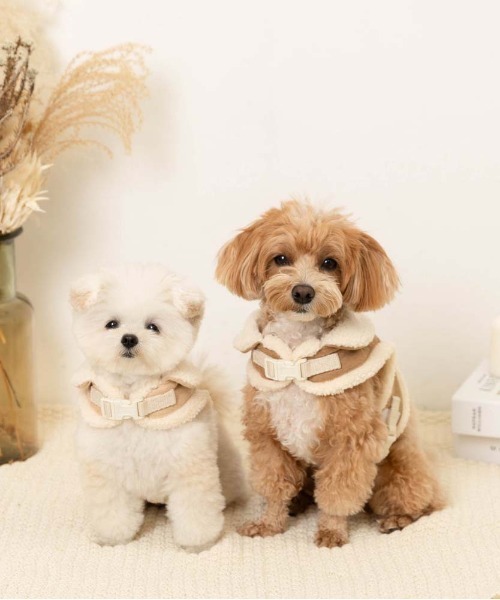 moncheri（モンシェリ）の「ムートン風ハーネス+リードSET  / 犬服 / ドッグウェア（リード/ハーネス/首輪・レディース・ブラウン/ベージュ・S/L/M）」の4枚目の写真