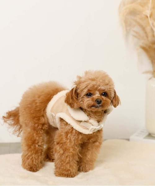 moncheri（モンシェリ）の「ムートン風ハーネス+リードSET  / 犬服 / ドッグウェア（リード/ハーネス/首輪・レディース・ブラウン/ベージュ・S/L/M）」の5枚目の写真
