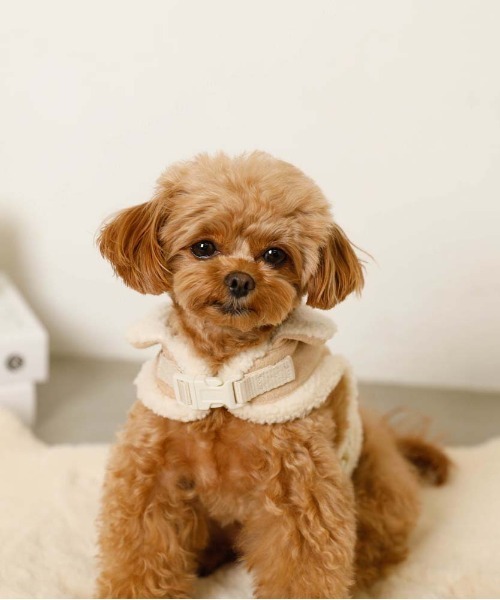 moncheri（モンシェリ）の「ムートン風ハーネス+リードSET  / 犬服 / ドッグウェア（リード/ハーネス/首輪・レディース・ブラウン/ベージュ・S/L/M）」の6枚目の写真