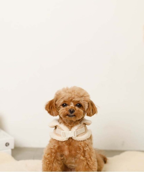 moncheri（モンシェリ）の「ムートン風ハーネス+リードSET  / 犬服 / ドッグウェア（リード/ハーネス/首輪・レディース・ブラウン/ベージュ・S/L/M）」の7枚目の写真