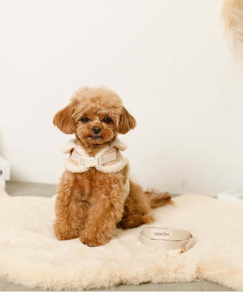 moncheri（モンシェリ）の「ムートン風ハーネス+リードSET  / 犬服 / ドッグウェア（リード/ハーネス/首輪・レディース・ブラウン/ベージュ・S/L/M）」の10枚目の写真