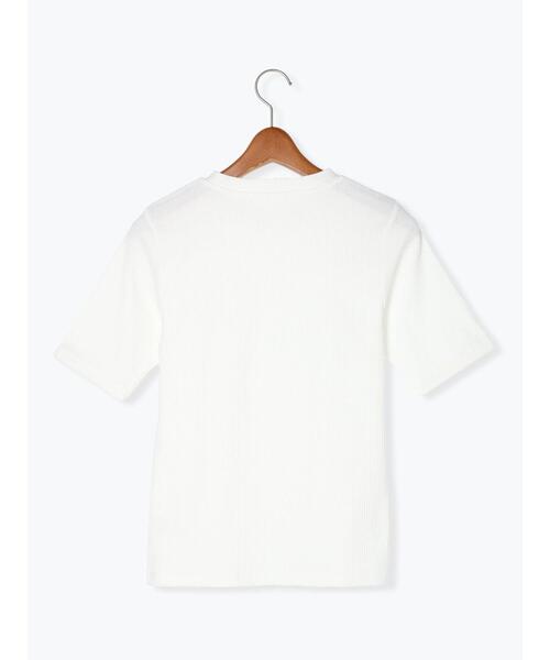 Lugnoncure（ルノンキュール）の「リブ半袖トップス(ボーダー・無地)（Tシャツ/カットソー・レディース・ブラック/オフホワイト/ホワイト・F）」の15枚目の写真