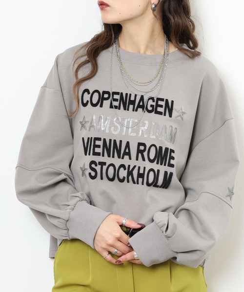 Anna Nicola(アンナニコラ)の「Anna Nicola ダンボールニットロゴプルオーバー(Tシャツ/カットソー・レディース・アイボリー/グレー/ブラック・38)」の14枚目の写真