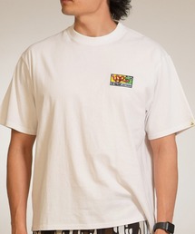TOY MACHINE/トイマシーン 半袖 Tシャツ TURTLE BOY EMB. MINI SST MTMSGST8
