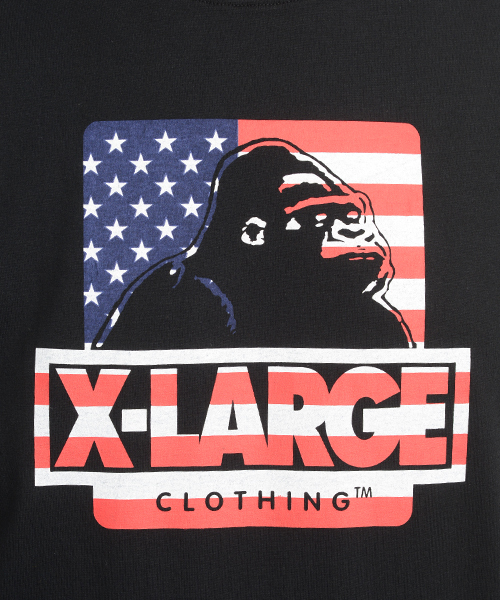 XLARGE(エクストララージ)の「S/S T NATIONAL FLAG OG(Tシャツ/カットソー・メンズ・ホワイト/ネイビー/グリーン/ブラック/バーガンディー・SMALL/MEDIUM/X-LARGE/LARGE)」の12枚目の写真