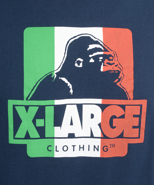 XLARGE(エクストララージ)の「S/S T NATIONAL FLAG OG(Tシャツ/カットソー・メンズ・ホワイト/ネイビー/グリーン/ブラック/バーガンディー・SMALL/MEDIUM/X-LARGE/LARGE)」の7枚目の写真