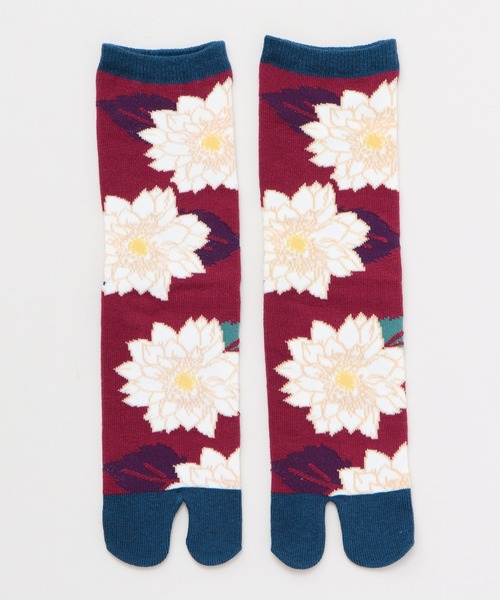 カヤ（カヤ）の「【カヤ】足袋型くつ下23～25cm 葉菊（ソックス/靴下・レディース・パープル/ブルー/キナリ・FREE）」の3枚目の写真