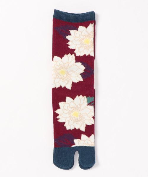 カヤ（カヤ）の「【カヤ】足袋型くつ下23～25cm 葉菊（ソックス/靴下・レディース・パープル/ブルー/キナリ・FREE）」の4枚目の写真