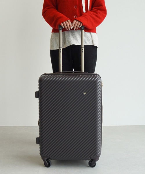 Jewelna Rose（ジュエルナローズ）の「HaNT×Jewelna Rose コラボ Mサイズ 06822（スーツケース/キャリーバッグ・レディース・ベージュ/チョコ/ホワイト/ネイビー/ライトブラウン/ライトブルー/モカ/グレイッシュベージュ/ダークブラウン/ラベンダー・FREE/MEDIUM）」の3枚目の写真