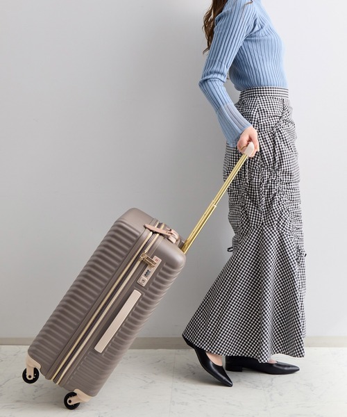 セール】HaNT×Jewelna Rose コラボ Mサイズ 06822（スーツケース