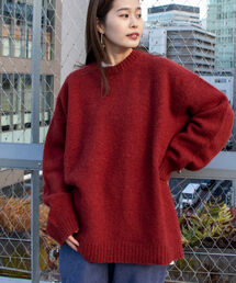 GLOSTER | 【GLOSTER/グロスター】シャギードッグウール プルオーバーニット(ニット/セーター)