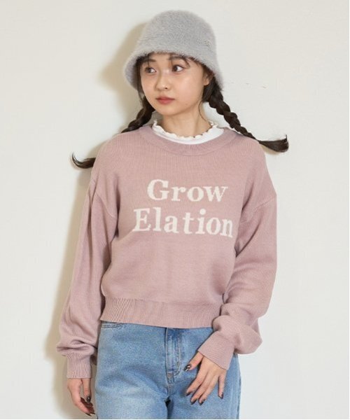 セール】【GOODPRICE】ジャガードクロップドニット（ニット/セーター