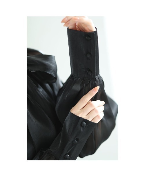 Sawa a la mode（サワアラモード）の「2wayオーガンジーボウタイブラウス（シャツ/ブラウス・レディース・ベージュ/ブラック・FREE）」の10枚目の写真