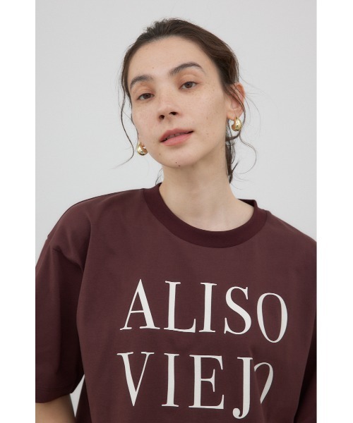 crie conforto(クリーコンフォルト)の「ALISO VIEJO Tシャツ(Tシャツ/カットソー・レディース・チャコールグレー/ホワイト/ブラウン・FREE)」の5枚目の写真