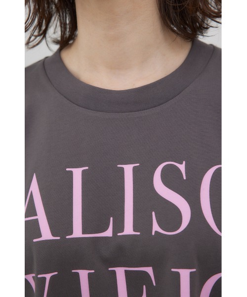 crie conforto(クリーコンフォルト)の「ALISO VIEJO Tシャツ(Tシャツ/カットソー・レディース・チャコールグレー/ホワイト/ブラウン・FREE)」の20枚目の写真