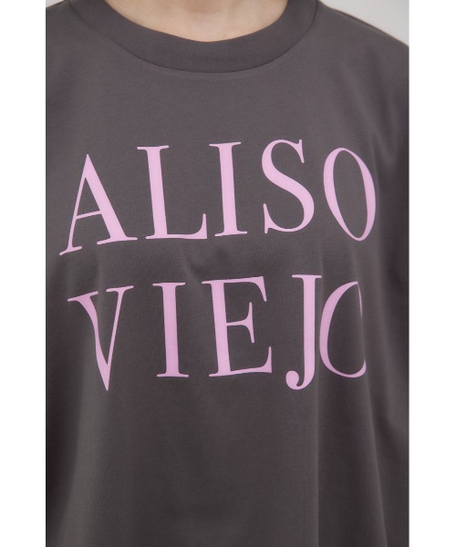 crie conforto(クリーコンフォルト)の「ALISO VIEJO Tシャツ(Tシャツ/カットソー・レディース・チャコールグレー/ホワイト/ブラウン・FREE)」の21枚目の写真