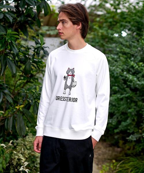DRESSTERIOR（ドレステリア）の「【大阪ルクア＆EC限定】キャット裏毛スウェット（スウェット・メンズ・チャコールグレー/ブラック/ホワイト・90/91/92）」の6枚目の写真