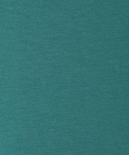 MENASOO(ミナス)の「MNS Raglan Stripe T Shirt_Mint(Tシャツ/カットソー・レディース・ミント・F)」の11枚目の写真