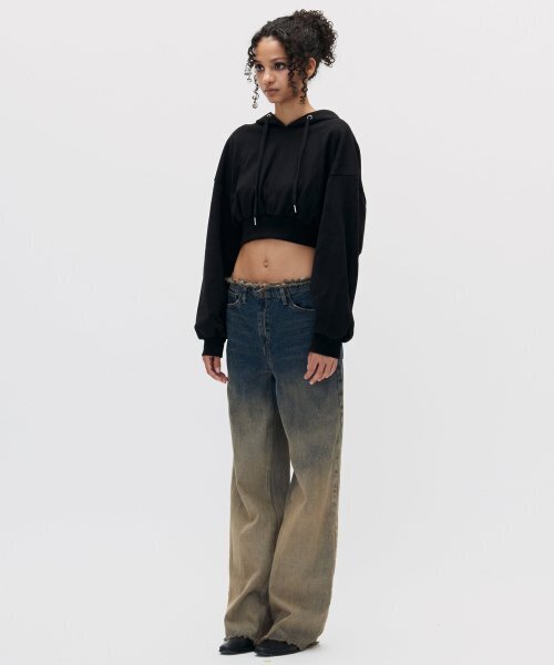 SETSETSET(セットセットセット)の「GRADATION STANDARD FIT DENIM PANTS BLUE(デニムパンツ・レディース・その他・MEDIUM)」の2枚目の写真