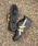ASICSiAVbNXj́uASICS SKATEBOARDING/AVbNXXP[g{[fBO fB[X Y Xj[J[ XP[g{[h XPV[ JAPAN PRO Wpv  1201A920.001iXj[J[jvbubN×S[h
