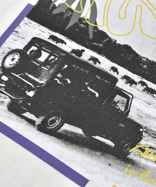 Noeil aime BeBe（ノイユエイムベベ）の「サファリカー写真プリントTシャツ(80~130cm)（Tシャツ/カットソー・キッズ・ホワイト/グリーン・130cm/80ｃｍ/90cm/110cm/100cm/120cm）」の10枚目の写真