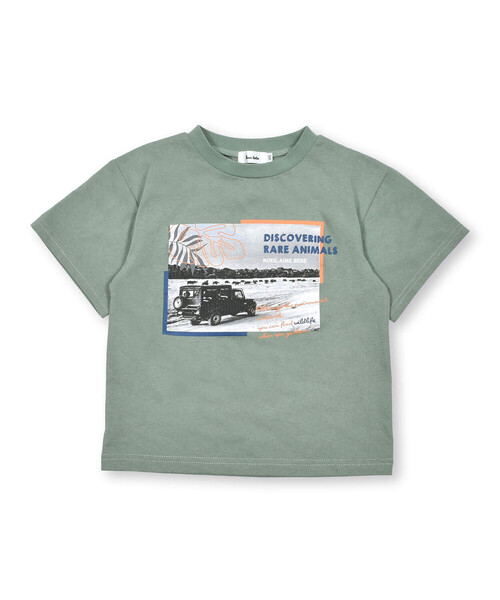 Noeil aime BeBe（ノイユエイムベベ）の「サファリカー写真プリントTシャツ(80~130cm)（Tシャツ/カットソー・キッズ・ホワイト/グリーン・130cm/80ｃｍ/90cm/110cm/100cm/120cm）」の12枚目の写真