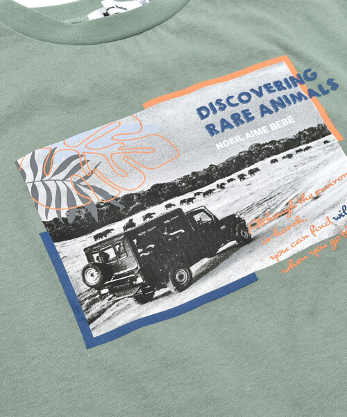 Noeil aime BeBe（ノイユエイムベベ）の「サファリカー写真プリントTシャツ(80~130cm)（Tシャツ/カットソー・キッズ・ホワイト/グリーン・130cm/80ｃｍ/90cm/110cm/100cm/120cm）」の16枚目の写真