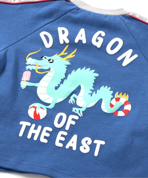 レア　新品未使用　ブリーズコラボ　スカジャン セール】福井県立恐竜博物館コラボ 恐竜世界地図スカジャン