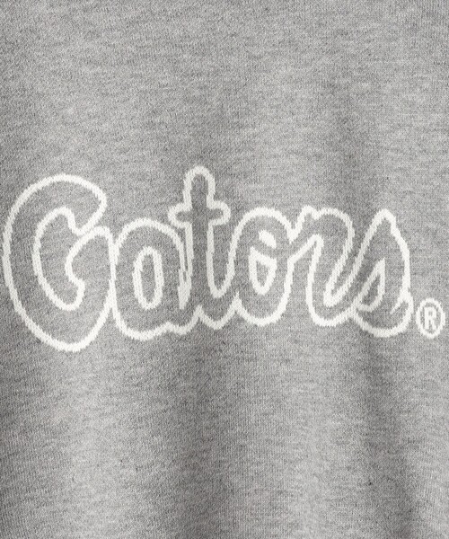 DISCUS ATHLETIC（ディスカス　アスレチック）の「【WEB限定・DISCUS（ディスカス）】 カレッジロゴジャガードニット②（ニット/セーター・レディース・その他1/グレー系・M/L）」の14枚目の写真