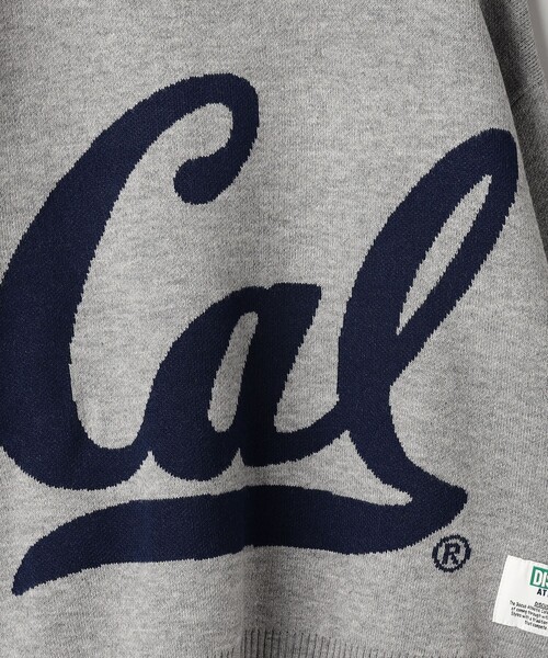 DISCUS ATHLETIC（ディスカス　アスレチック）の「【WEB限定・DISCUS（ディスカス）】 カレッジロゴジャガードニット②（ニット/セーター・レディース・その他1/グレー系・M/L）」の16枚目の写真