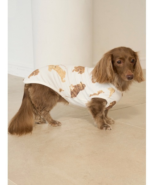 正規品♡新品　ジェラートピケ　ダックスフントジャガードブランケット　ネイビー すべてのカテゴリ【ジェラート ピケ キャット＆ドッグ】シュナウザー