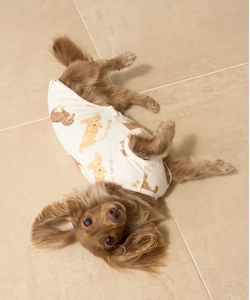 正規品♡新品　ジェラートピケ　ダックスフントジャガードブランケット　ネイビー すべてのカテゴリ【ジェラート ピケ キャット＆ドッグ】シュナウザー