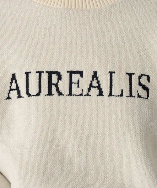 Elura(エルーラ)の「モールロゴニット/1085551(Tシャツ/カットソー・レディース・ネイビー/オフホワイト/グレイッシュベージュ・FREE)」の20枚目の写真