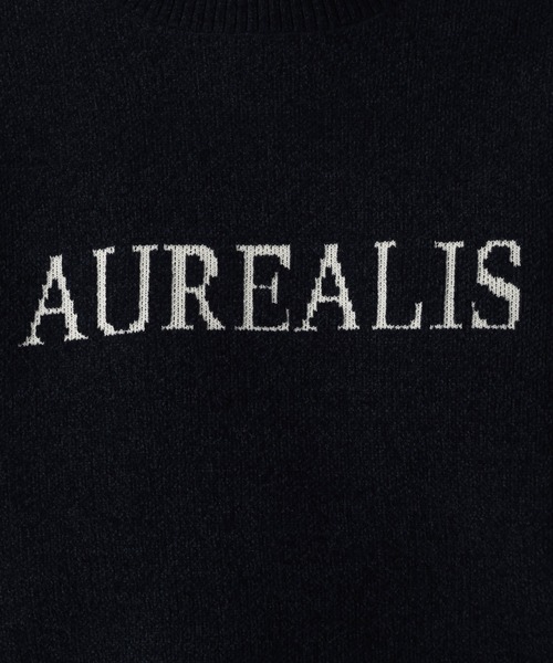 Elura(エルーラ)の「モールロゴニット/1085551(Tシャツ/カットソー・レディース・ネイビー/オフホワイト/グレイッシュベージュ・FREE)」の22枚目の写真