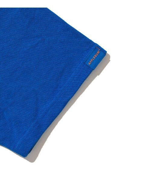 APPLEBUM（アップルバム）の「“illmatic” Logo T-shirt（Tシャツ/カットソー・メンズ・ホワイト/ブラック/ブルー・LARGE/X-LARGE/MEDIUM）」の9枚目の写真