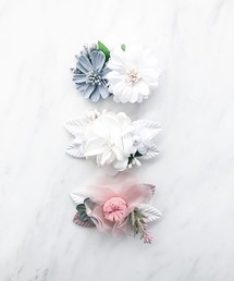 frangipani(tWpj)̃t[wANbv3s[XZbg(KIDSj(ob^/wANbv)