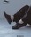 SHIPS any�i�V�b�v�X �G�j�B�j�́uSHINARI: SR002 KESAU ���[�X�A�b�v �X�j�[�J�[���i�X�j�[�J�[�j�v�b�u���b�N
