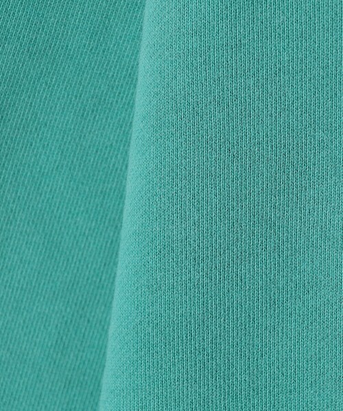 BEAUTY&YOUTH UNITED ARROWS（ビューティーアンドユースユナイテッドアローズ）の「【別注】 ＜北山雅和＞ ロゴ スウェット 1（スウェット・メンズ・ケリーグリーン/ダークグレー・M/L）」の7枚目の写真