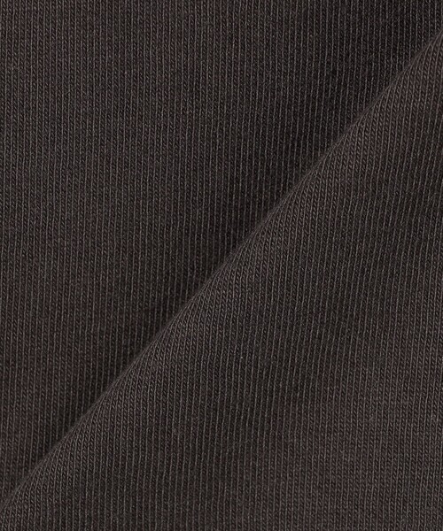 Healthknit(ヘルスニット)の「【SHIPS any別注】Healthknit:〈洗濯機可能〉エンブロイダリー クロップド TEE(Tシャツ/カットソー・レディース・オフホワイト/ブラック/ライトグリーン・ONE SIZE)」の9枚目の写真