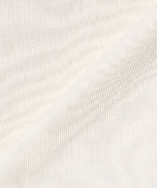 Healthknit(ヘルスニット)の「【SHIPS any別注】Healthknit:〈洗濯機可能〉エンブロイダリー クロップド TEE(Tシャツ/カットソー・レディース・オフホワイト/ブラック/ライトグリーン・ONE SIZE)」の13枚目の写真