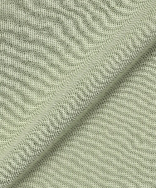 Healthknit(ヘルスニット)の「【SHIPS any別注】Healthknit:〈洗濯機可能〉エンブロイダリー クロップド TEE(Tシャツ/カットソー・レディース・オフホワイト/ブラック/ライトグリーン・ONE SIZE)」の16枚目の写真