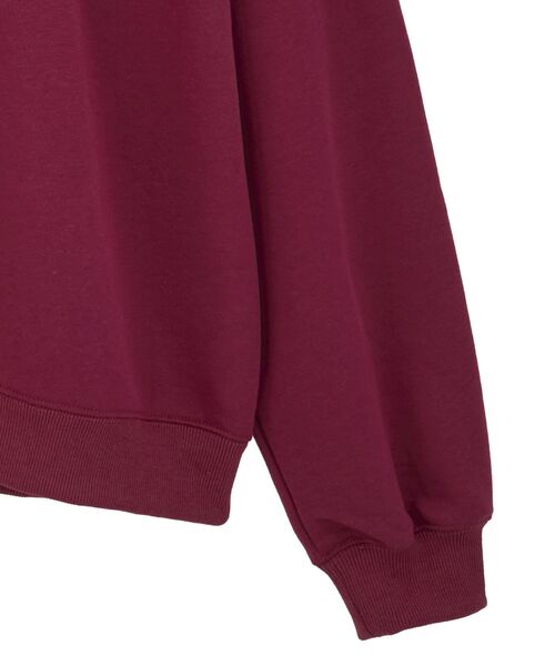 Green　Parks（グリーンパークス）の「■PEANUTS ヘッドフォンスウェット（スウェット・レディース・ボルドー・FREE）」の14枚目の写真
