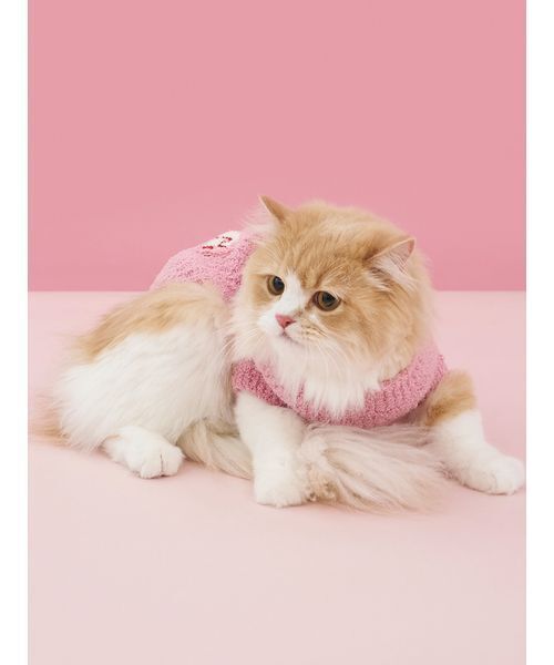CAT&DOG】ベビモコベアサガラ刺繍プルオーバー（ペットウェア