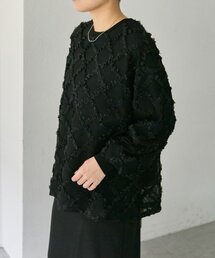 ear PAPILLONNER | シアーレーススウェット【SUM1 STYLE】(Tシャツ/カットソー)